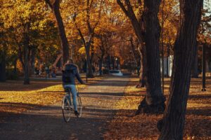 脂肪吸引のカウンセリング前に読むべきことは何ですか？