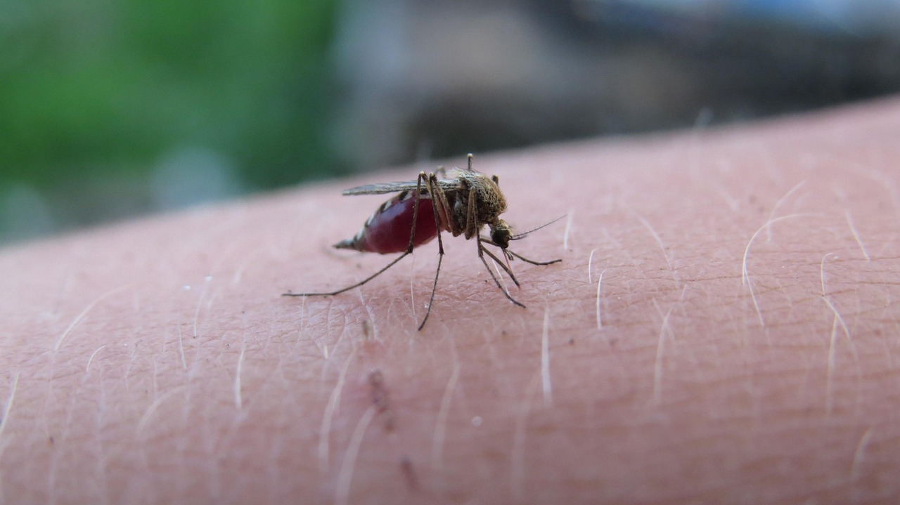 脂肪吸引の後遺症は本当に治るのか、その真相は？