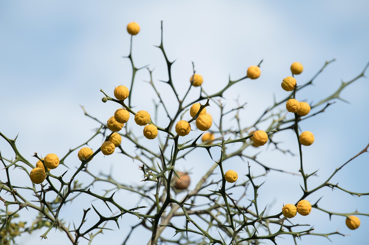 脂肪吸引で後悔した理由ランキングとはどんなもの？