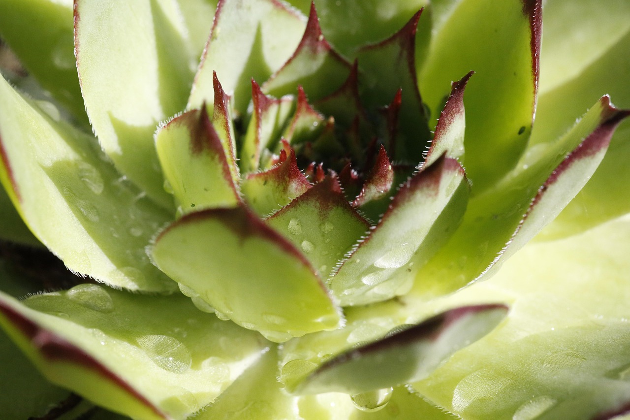 脂肪吸引で多い失敗事例とはどんなものがあるのか？