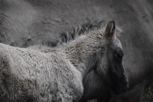 脂肪吸引後の生活制限まとめを知っておくべき理由は？