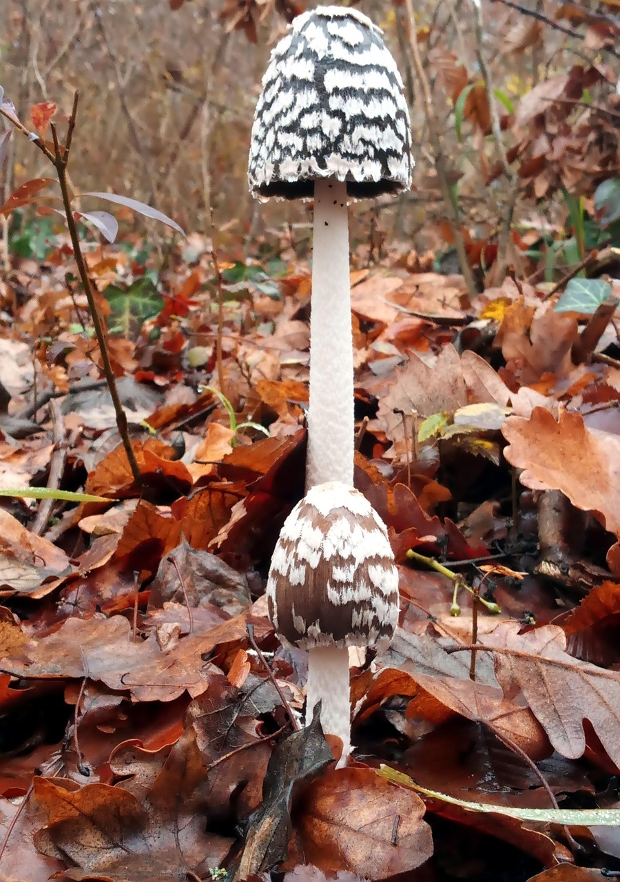 不動産の一括査定でカビや湿気が多い家の対策は？