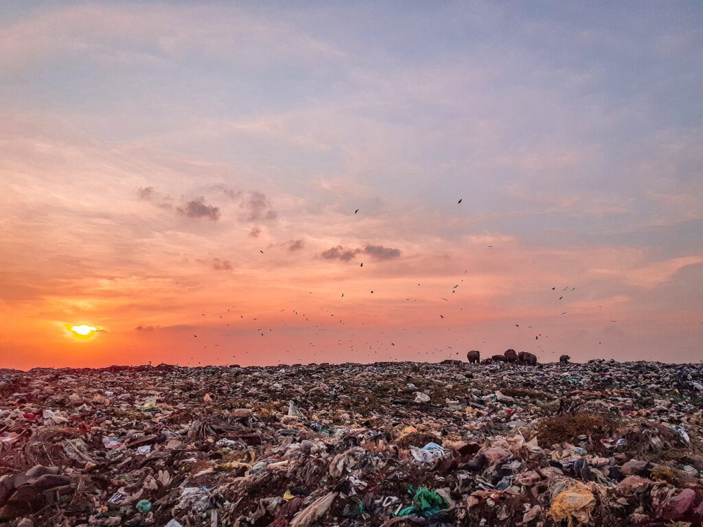 不動産の一括査定でゴミ屋敷化した家は売却できるか？